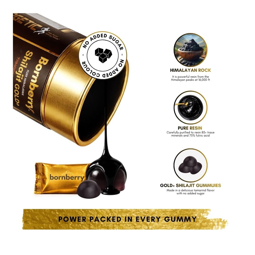 Gold+ Shilajit Gummies
