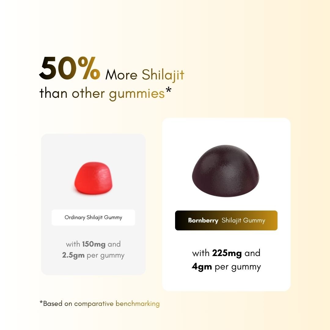 Gold+ Shilajit Gummies