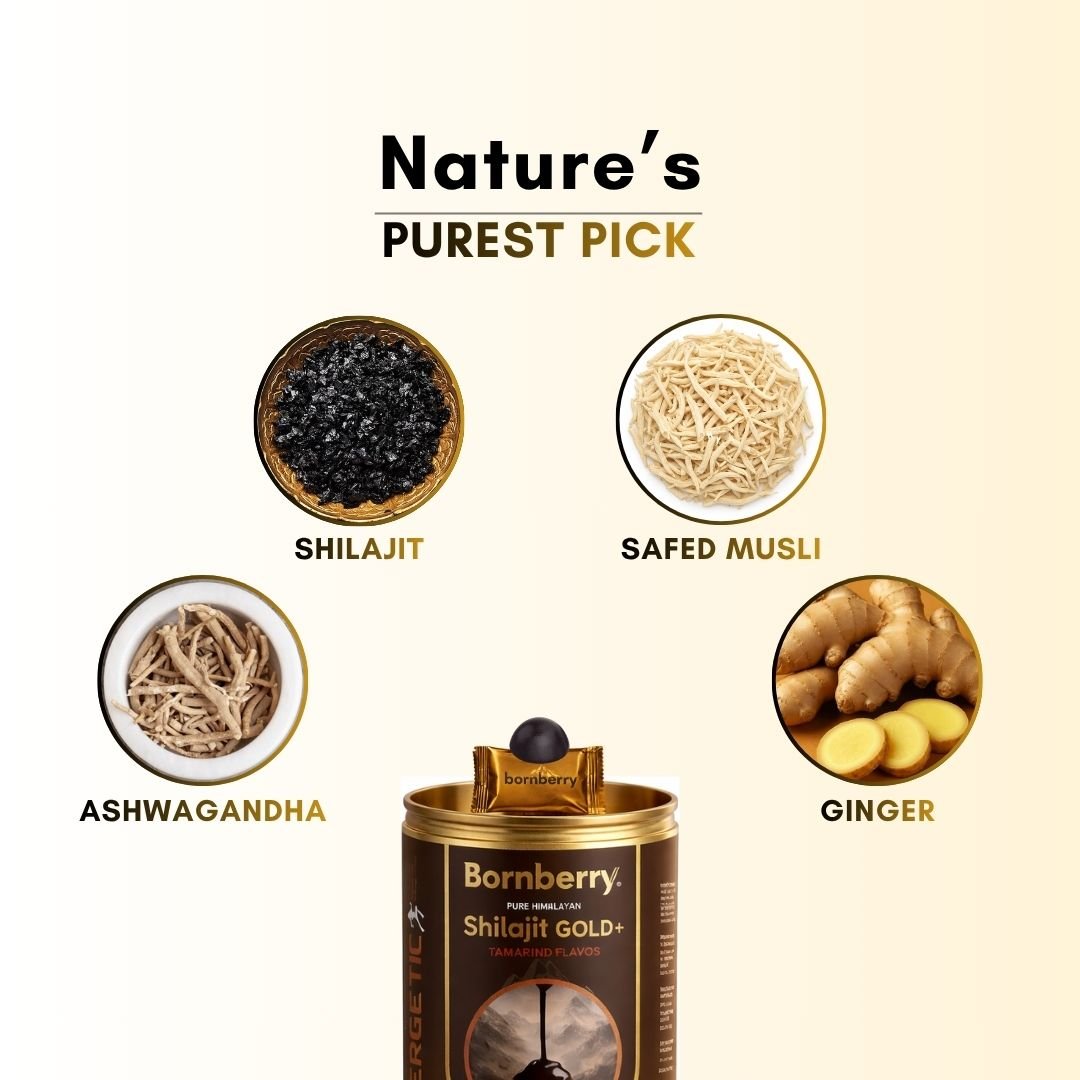 Gold+ Shilajit Gummies