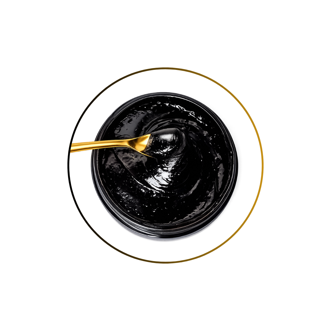 Pure shilajit resin