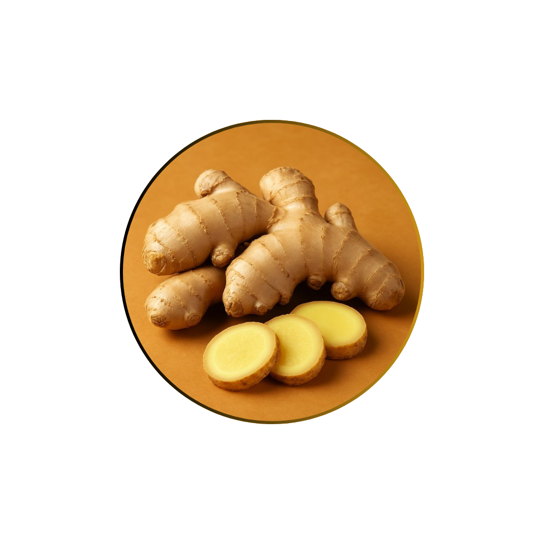 Ginger